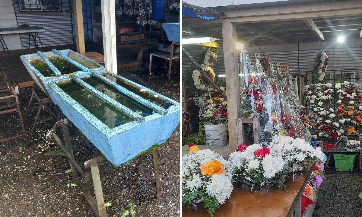 Floristas de la Pérgola de Valdivia siguen a la espera de reconstrucción