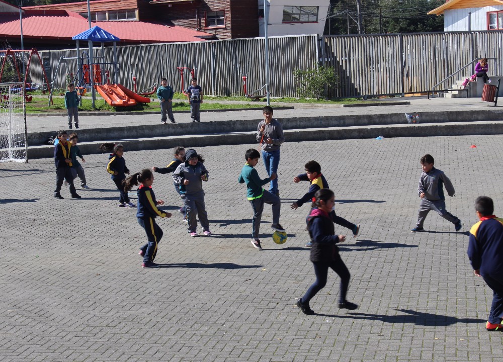 Alumnos de colegios municipales de Los Lagos celebraron Día Mundial de la Actividad Física