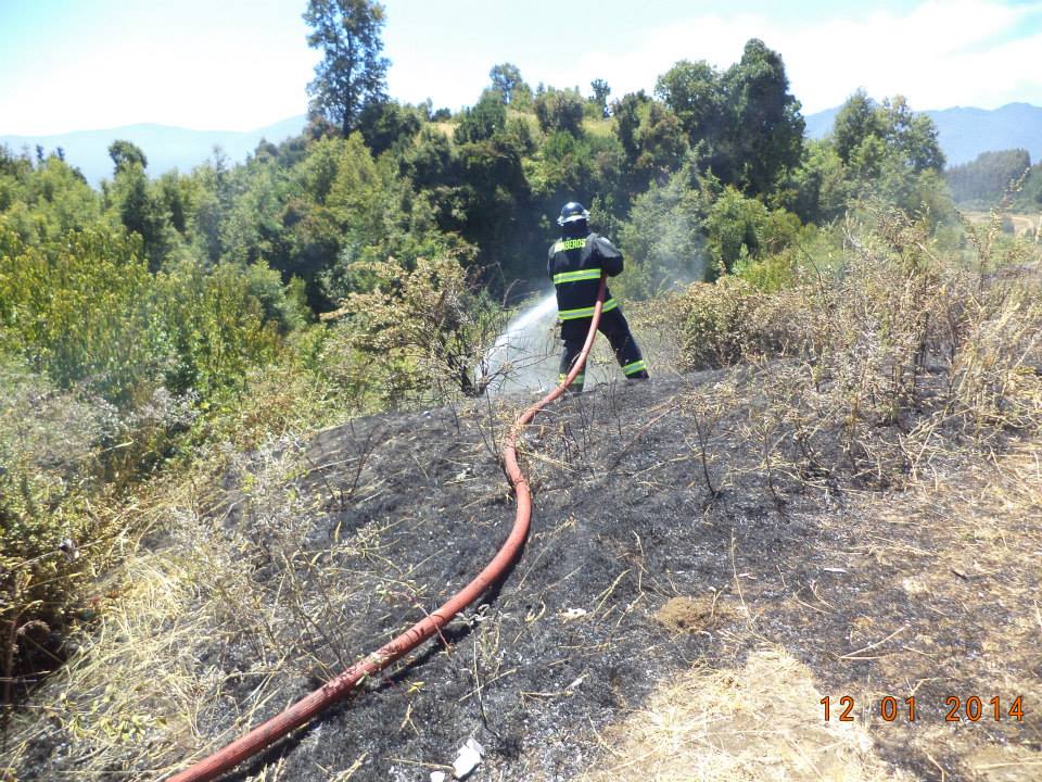 Incendio de pastizales se produce en sector La Quinta