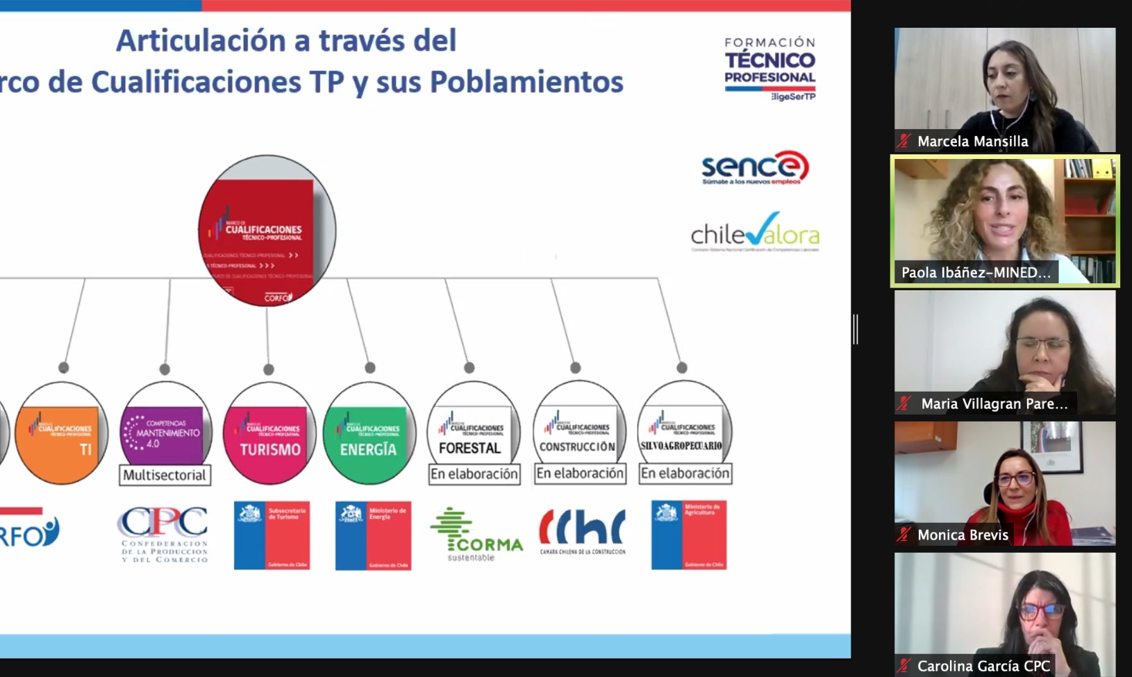 Subsecretaría de Educación Superior presenta propuesta de implementación del Marco de Cualificación Técnico Profesional a Consejo Asesor