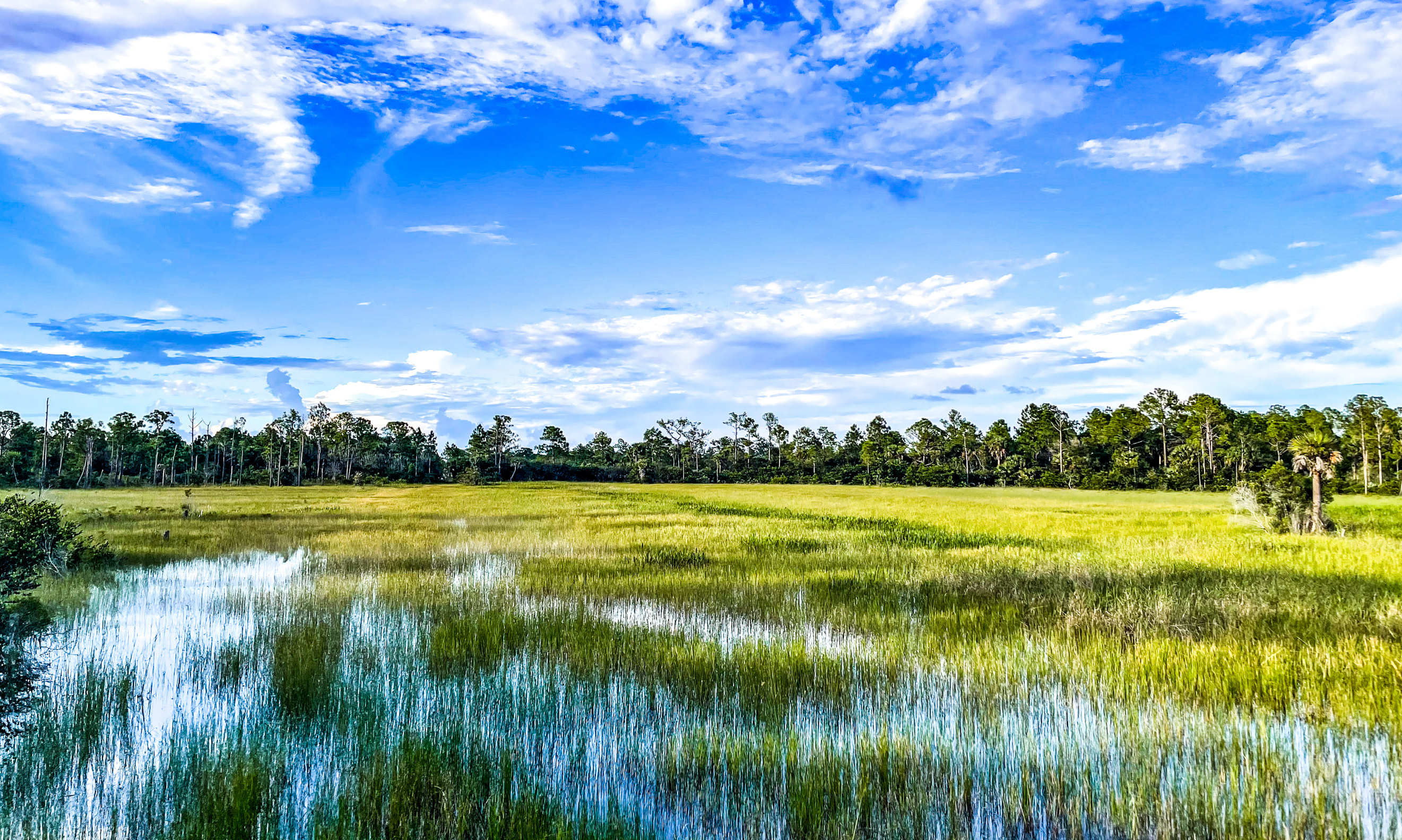 Humedales: la solución natural para combatir el cambio climático