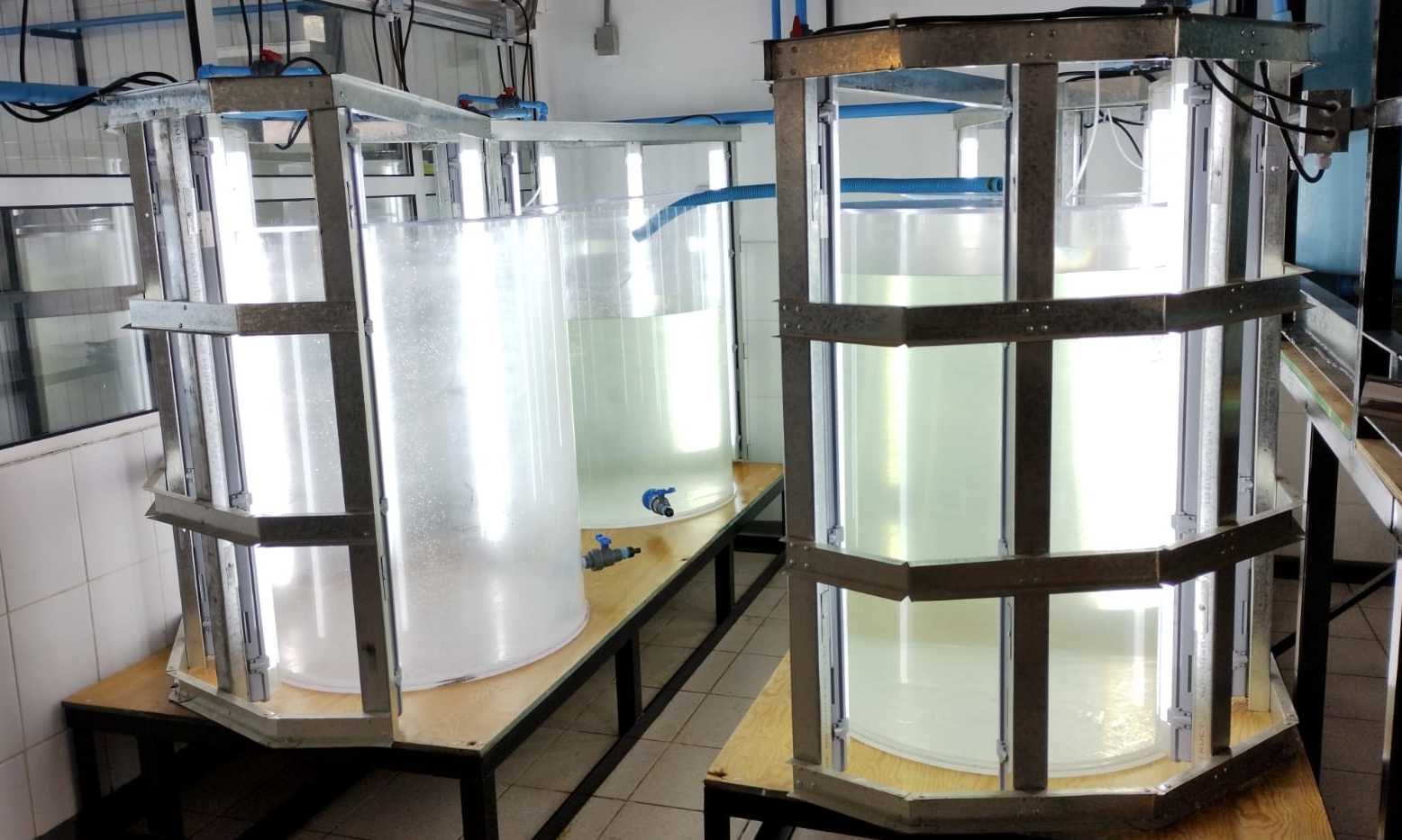 Región de Los Ríos: En Mehuín se inaugurará el primer hatchery acuícola para la educación técnico profesional de la zona sur