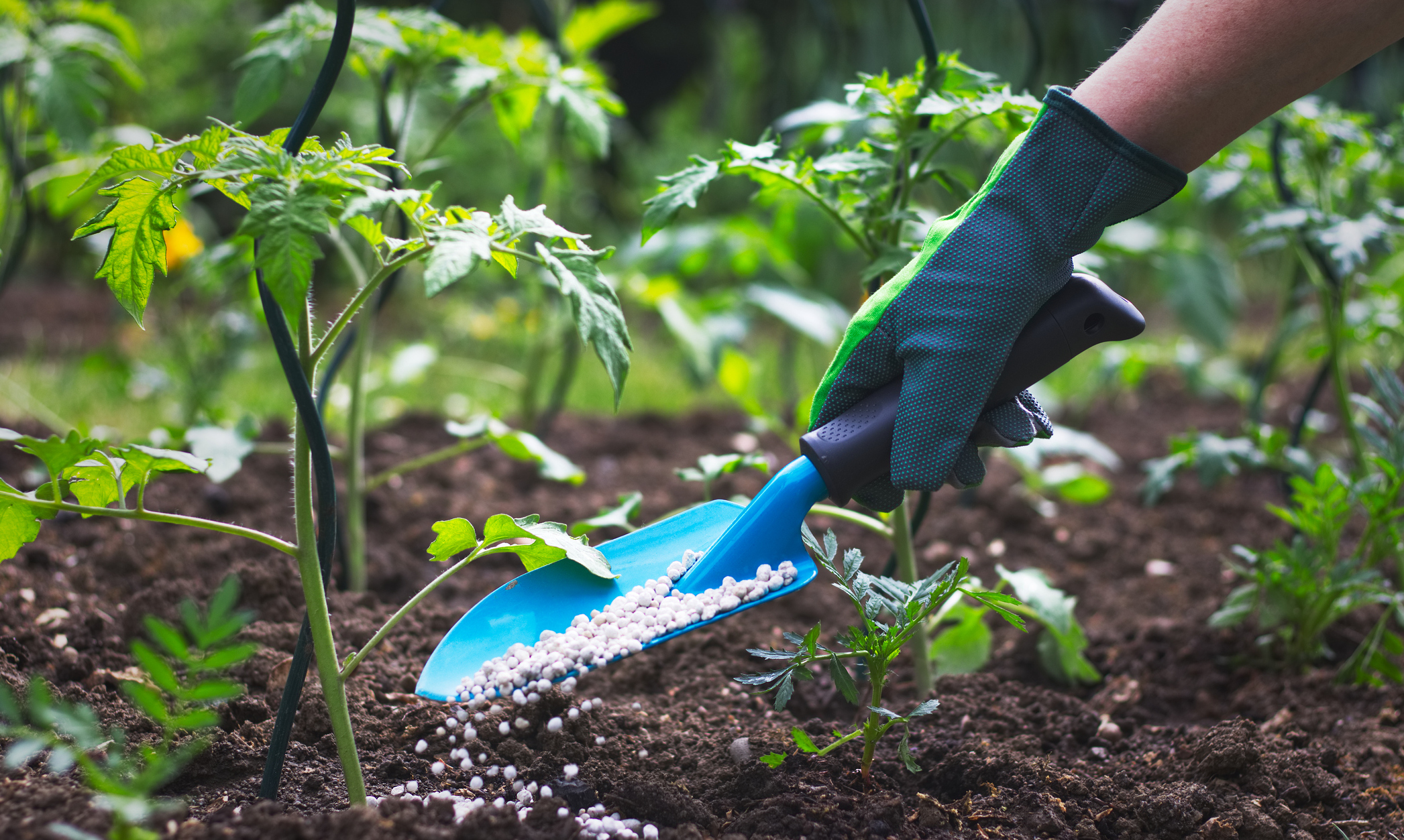 Estudio busca recuperar fósforo de aguas residuales para producir un fertilizante agrícola