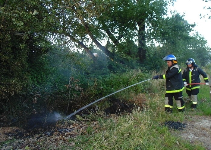 Quema de pastizales alertó a bomberos de Los Lagos 