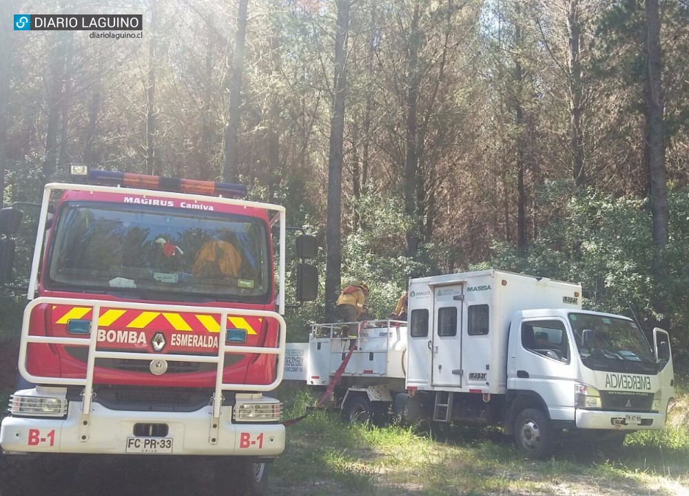 Bomberos trabaja en control de incendio que afecta plantación en cerro López