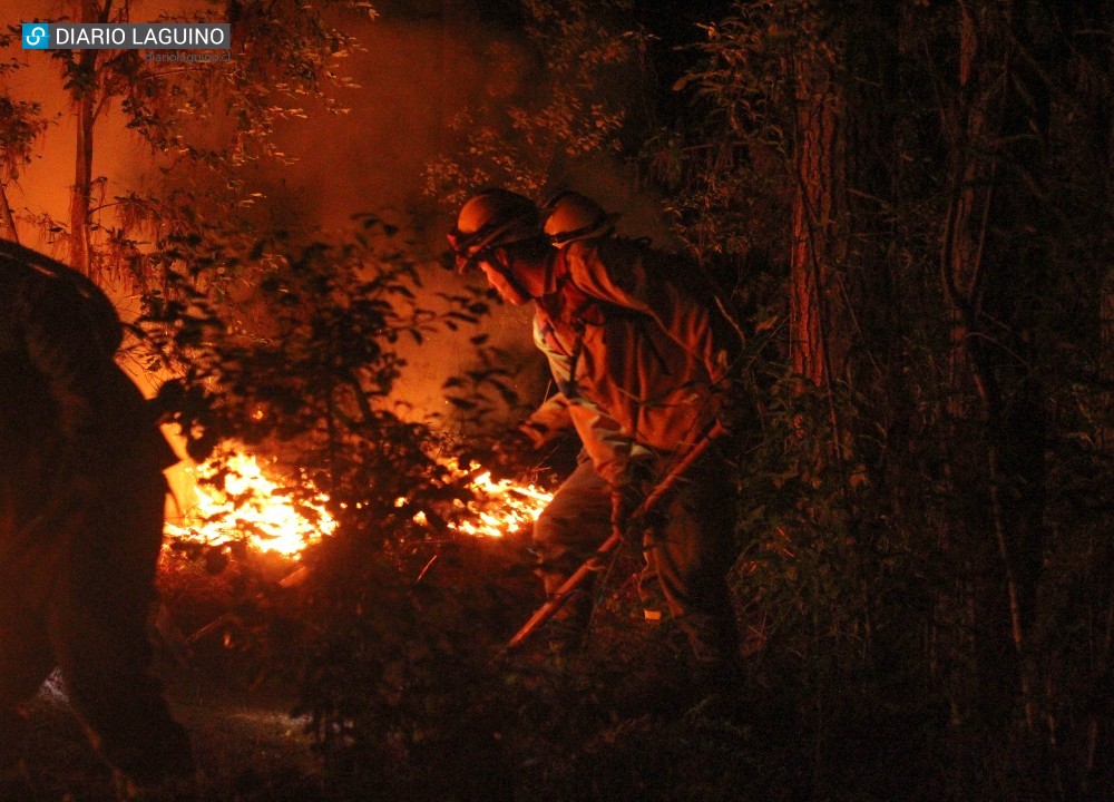 Tres focos de incendio se produjeron en plantación forestal del cerro López