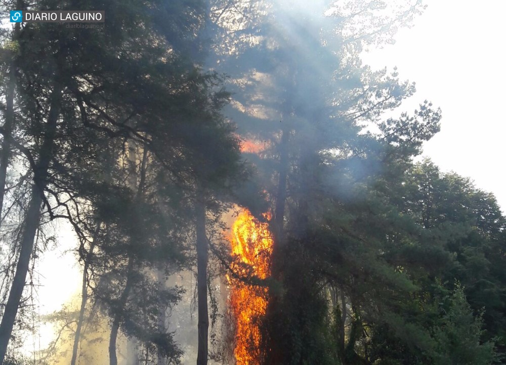 Alarma de bomberos por incendio de pastizales en Las Huellas