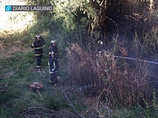 Los Lagos: Cable de alta tensión provocó pequeño incendio de pastizales