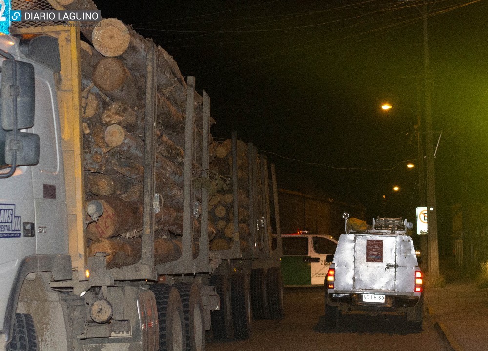 Anoche: Camión dejó sin luz a vecinos de calle Collilelfu en Los Lagos