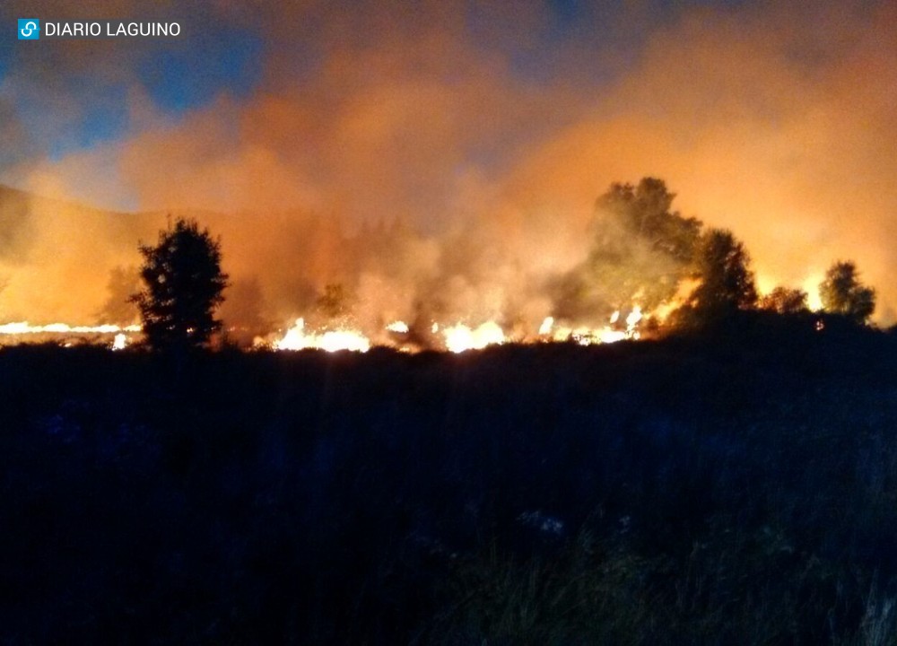 Segunda alarma por incendio en sector Pancul: Habría peligro de propagación a viviendas