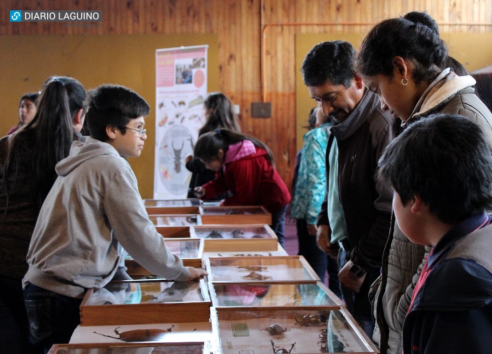 Museo Itinerante Multimedial “Insectomanía” realizó exposiciones en escuelas Francia y Los Maitenes en Los Lagos