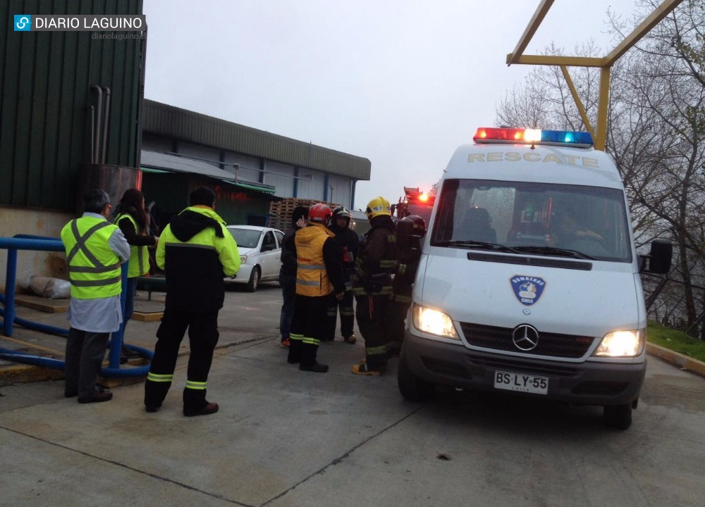 Positivo balance tras simulacro de accidente en planta Prolesur