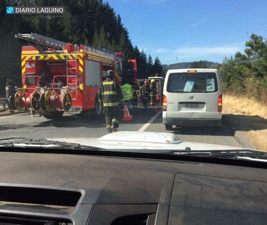 Un animal vacuno muerto deja volcamiento en sector Lipingüe