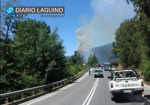 Bomberos controló uno de los focos en ruta Valdivia- Antilhue