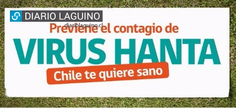 Avanza campaña preventiva de Hanta en Los Lagos