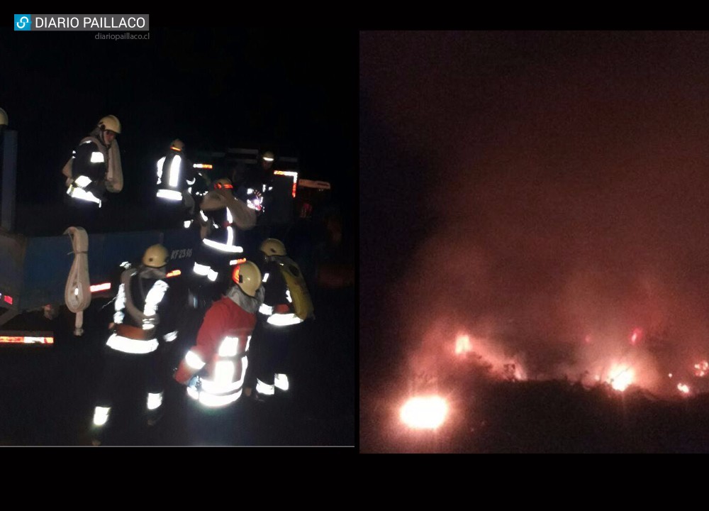 Bomberos de Paillaco y Los Lagos se amanecieron para terminar con incendio forestal de proporciones