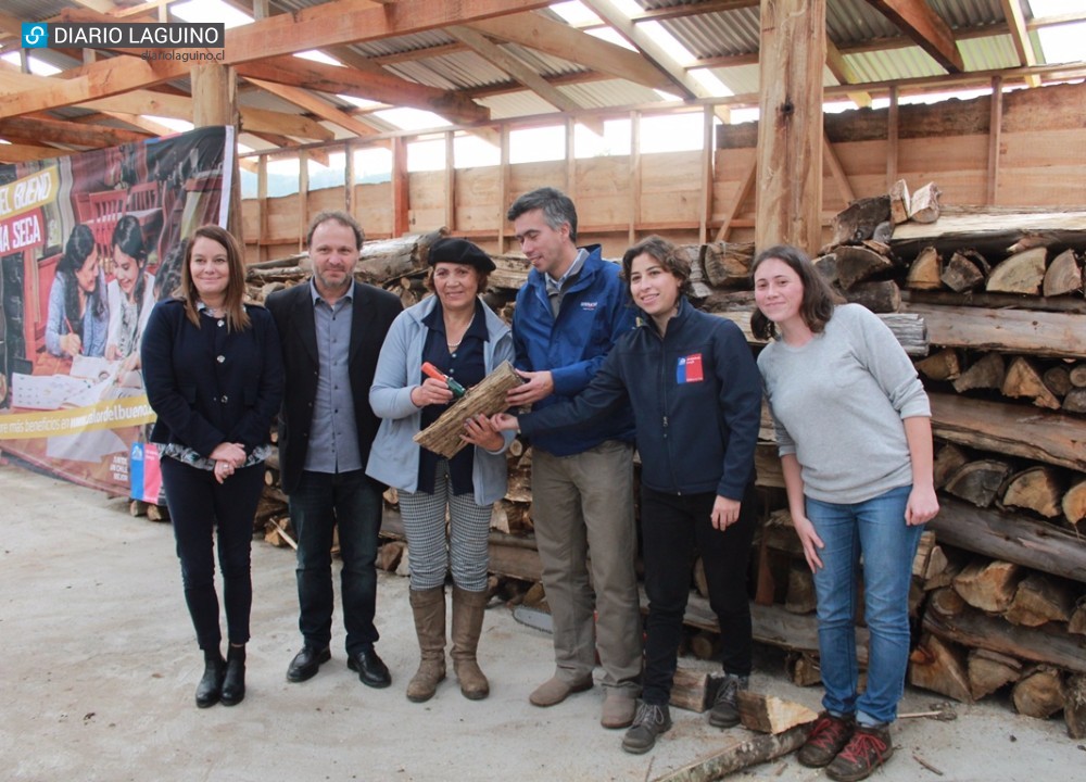 Los Lagos: Subsecretaria de Energía inauguró centro de acopio y secado de leña