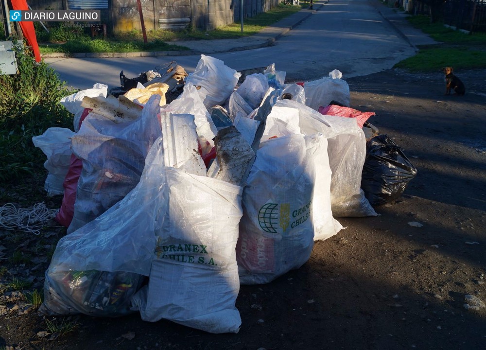 Vecinos de Los Lagos realizaron limpieza de basura del Río San Pedro