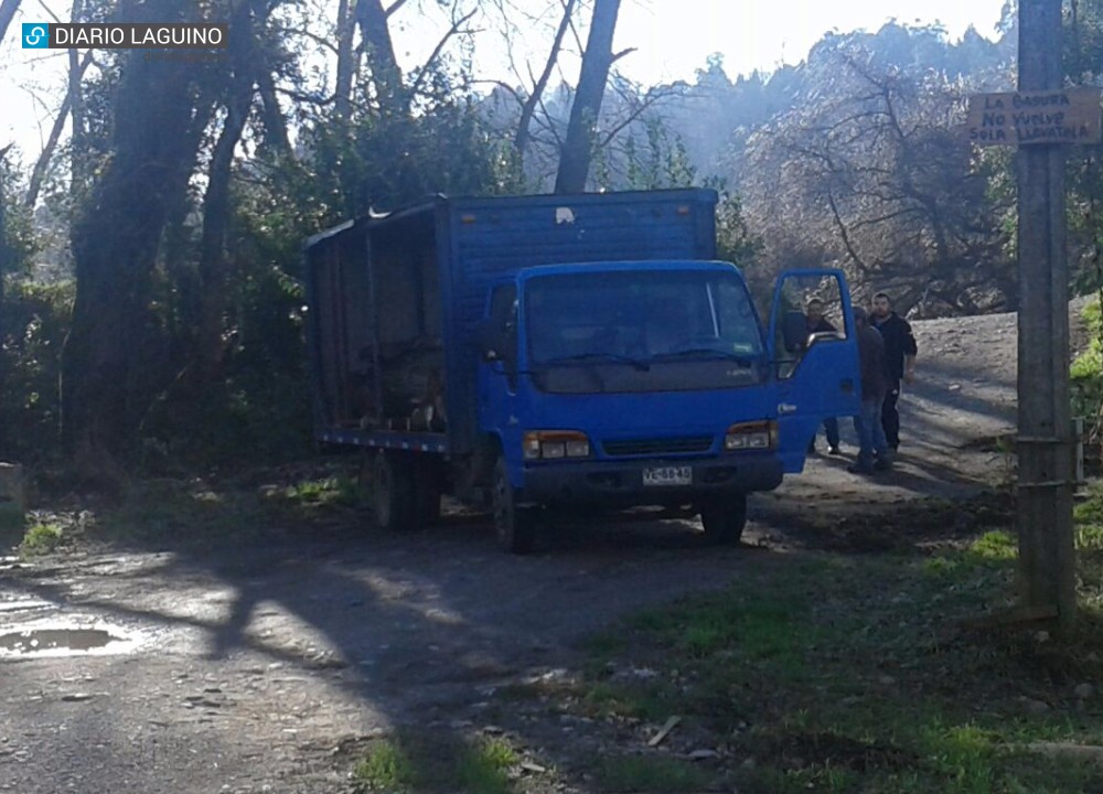 Vecinos de sector Alderete denuncian corte ilegal de álamos 		