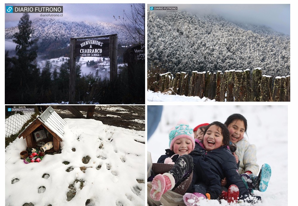 "Nieve sobre Futrono", la mirada del fotógrafo Felipe Guarda en 144 bellas imágenes