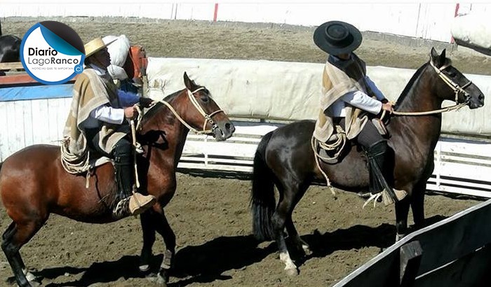 Denuncian robo de yeguas corraleras en sector cordillerano de Lago Ranco