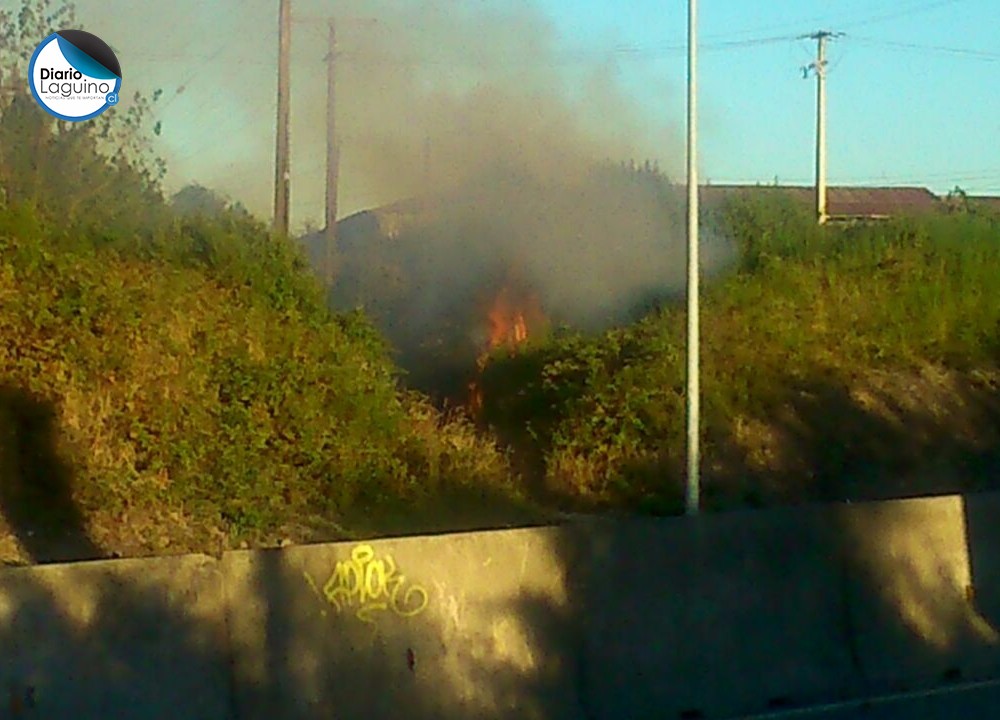 Bomberos controló incendio de pastizales en sector de la rotonda