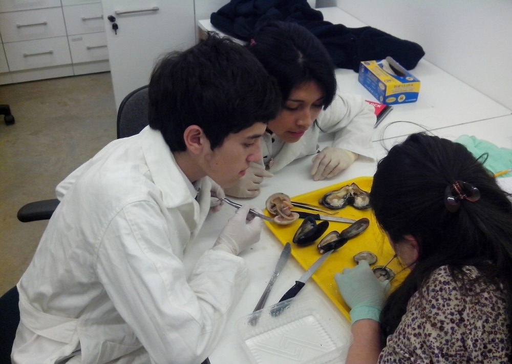 Alumnos de Liceo Rural Llifén clasificados en Congreso de Ciencia y Tecnología