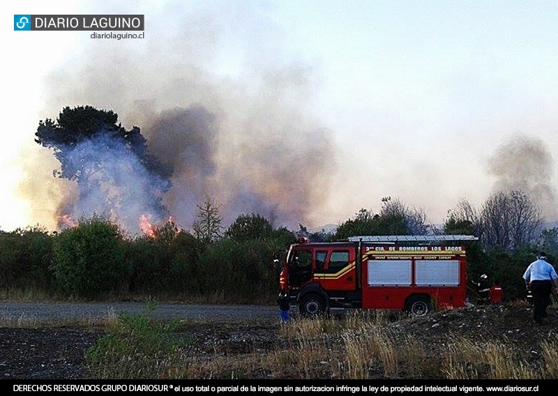 Arduo trabajo de Bomberos permitió controlar quema de pastizales de gran extensión