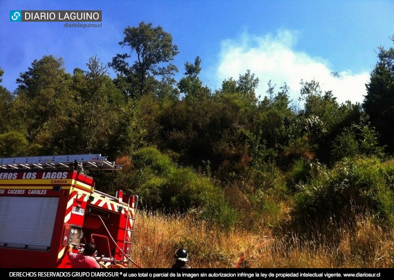 Menor de edad es el principal sospechoso de provocar incendios en Las Lajas