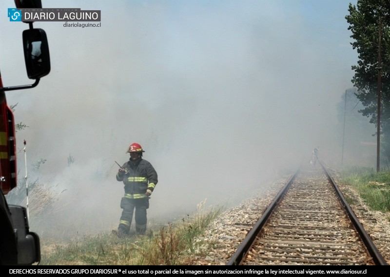 Incendio de pastizales en sector Las Lajas alertó a Bomberos de Los Lagos