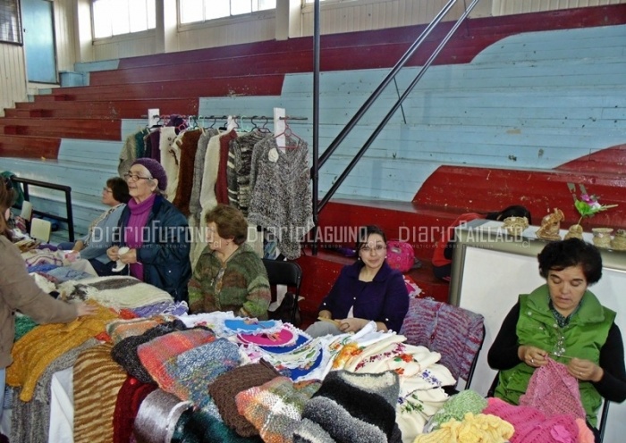 Feria de Emprendedoras 2014 congregó a mujeres de Los Lagos, Máfil y Futrono