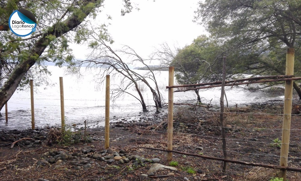 Insólito e inaceptable: Particulares cercaron y se repartieron playa en Lago Ranco