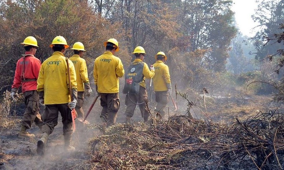 Berger (RN) calificó como un “gran avance” el proyecto de ley que crea el Servicio Nacional Forestal 