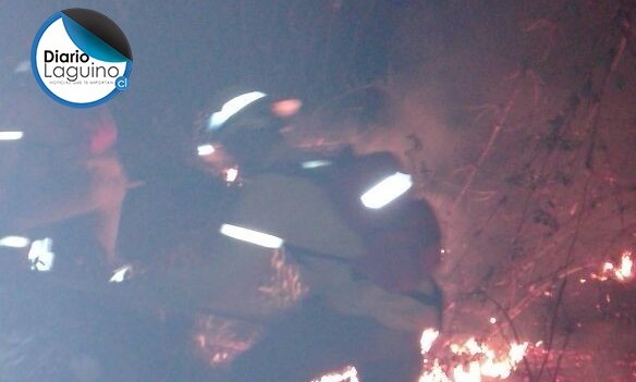 Controlado incendio de pastizales en el cerro San Ambrosio en Los Lagos 