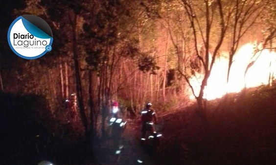 Incendio de pastizales controlado en cerro San Ambrosio en Los Lagos