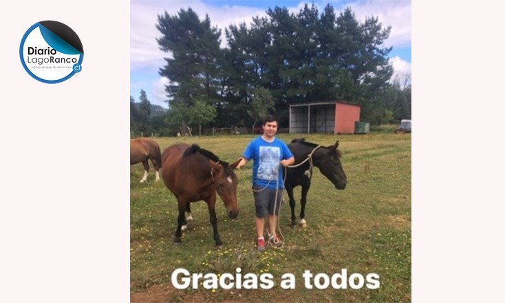 En Los Lagos aparecieron yeguas corraleras robadas el domingo desde predio ranquino