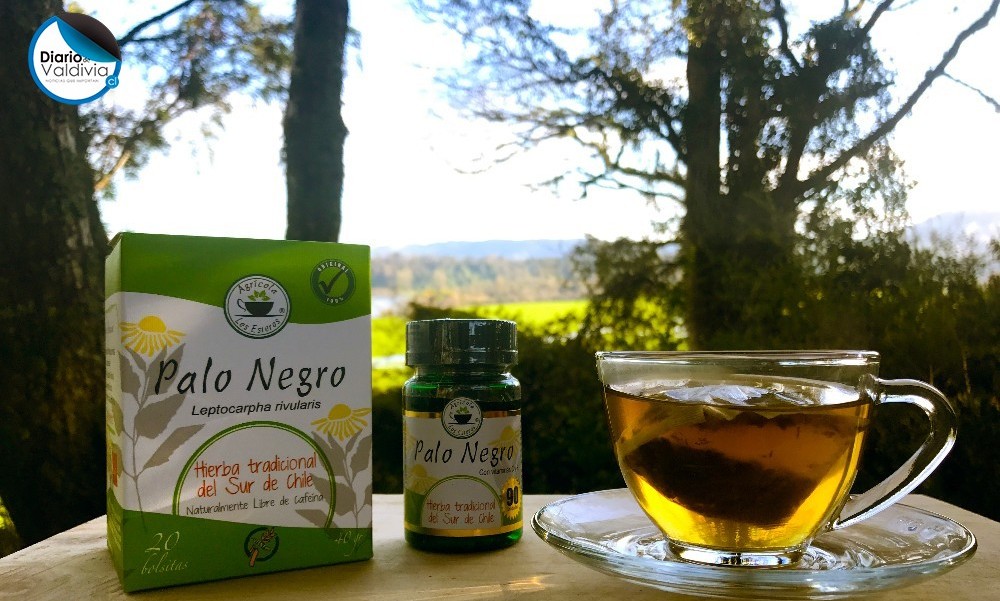 Palo Negro: Un producto del sur al alcance de todo Chile