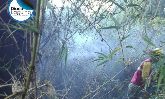 Conaf controló incendio de pastizales en el sector Las Lajas