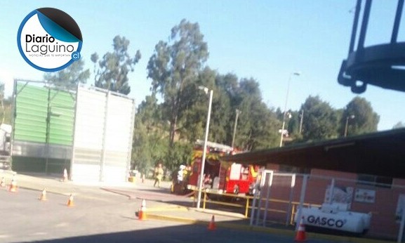 Los Lagos: Realizan simulacro de incendio en Prolesur