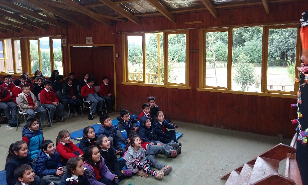 Escuelas rurales de Los Lagos conmemoraron el día Internacional del Agua