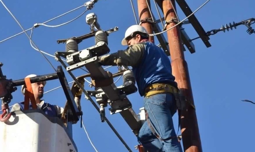 Tala de árboles dejó sin luz a más de 10 mil clientes en Los Ríos