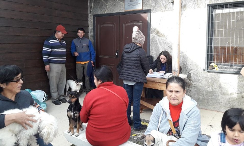 Más de 400 mascotas han sido esterilizadas durante mayo en Los Lagos