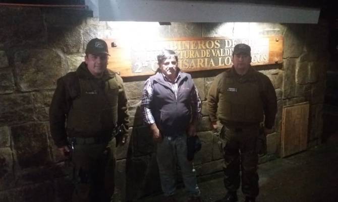 Carabineros antiabigeato recuperó 2 vacunos robados en Los Lagos