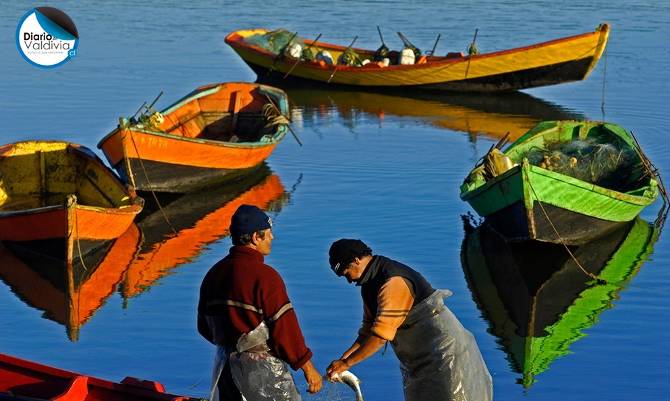 En el mes de la fotografía: concurso nacional Ojo de Pez lanza su quinta versión