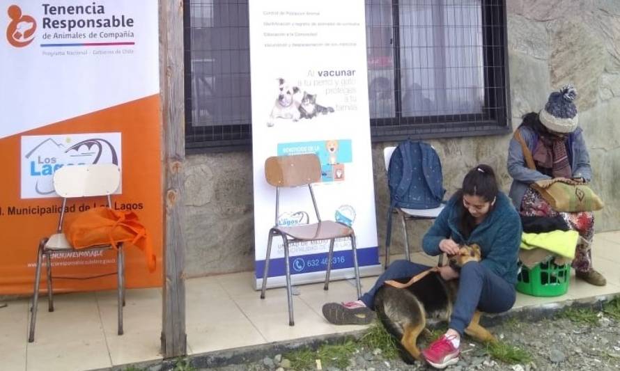 Los Lagos: "Veterinario en tu Comuna" comenzó operativos de esterilización de mascotas