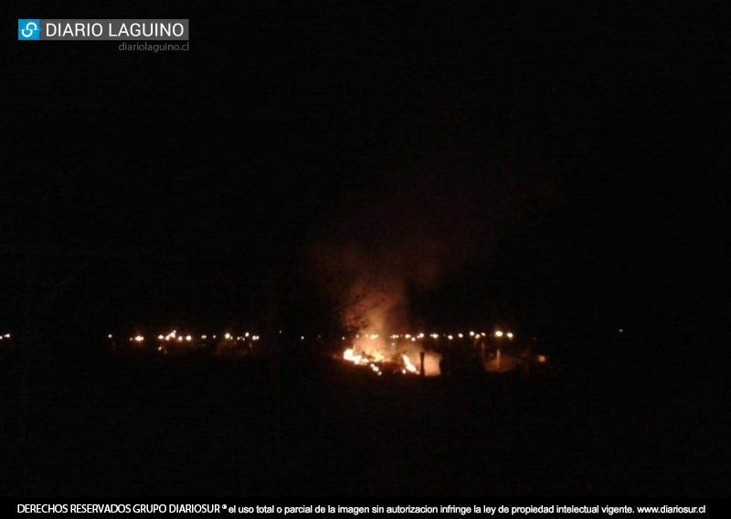 Incendio de pastizales en población Nevada alerta a Bomberos de Los Lagos