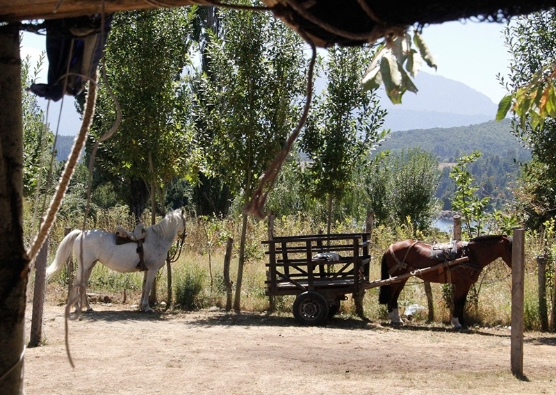 Isla Huapi se consolida como destino turístico regional con dos ferias costumbristas