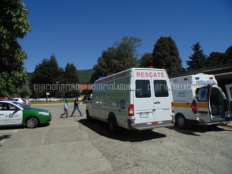 Dos atropellos se produjeron durante la jornada del martes en Los Lagos