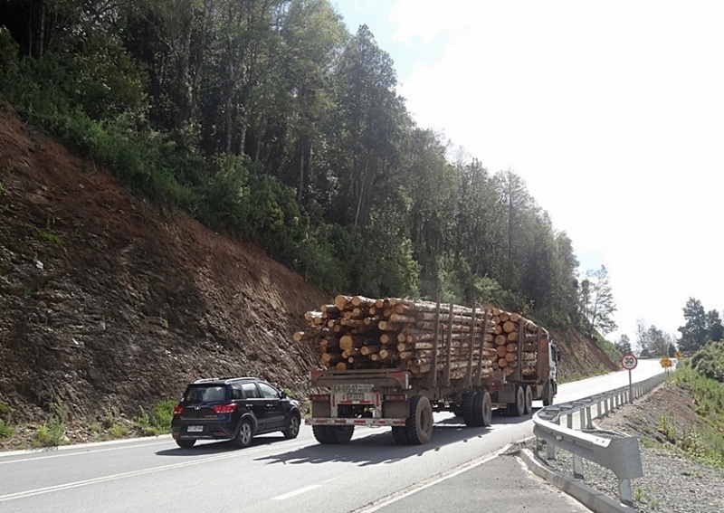 Empresarios de Buses de Los Lagos llaman al MOP a fiscalizar tonelaje de camiones por ruta T-204