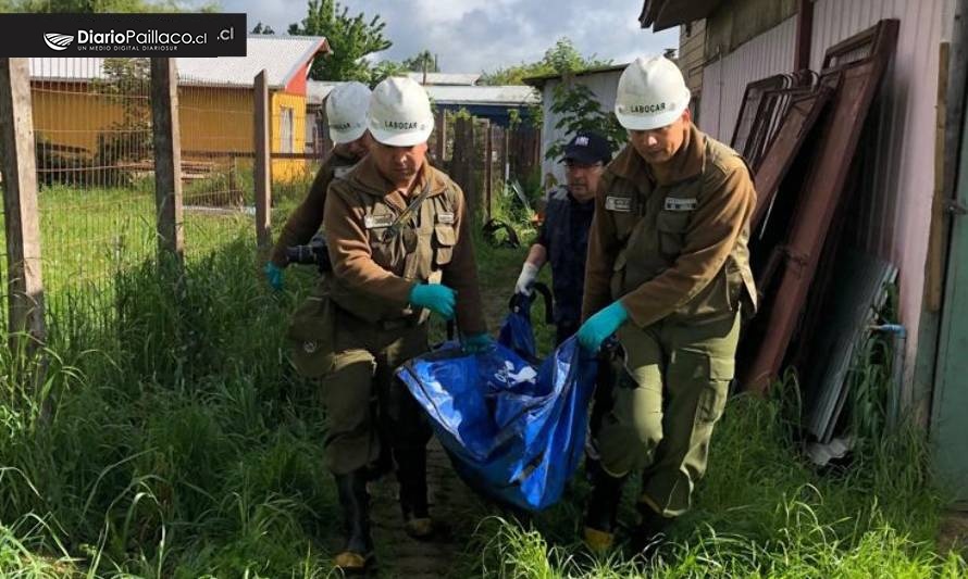 Labocar de Carabineros realizó pericias en vivienda incendiada en Paillaco